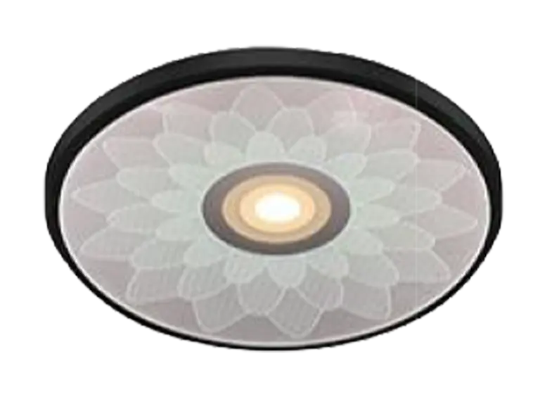 Alexa Apex-CX019