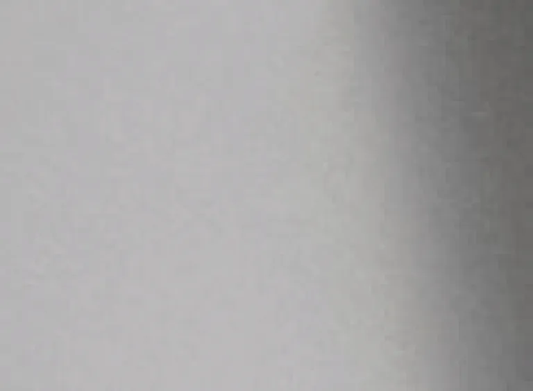 Brushed stainless steel